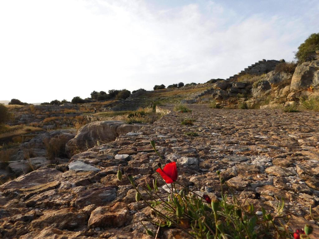 Thorikos ancient theatre