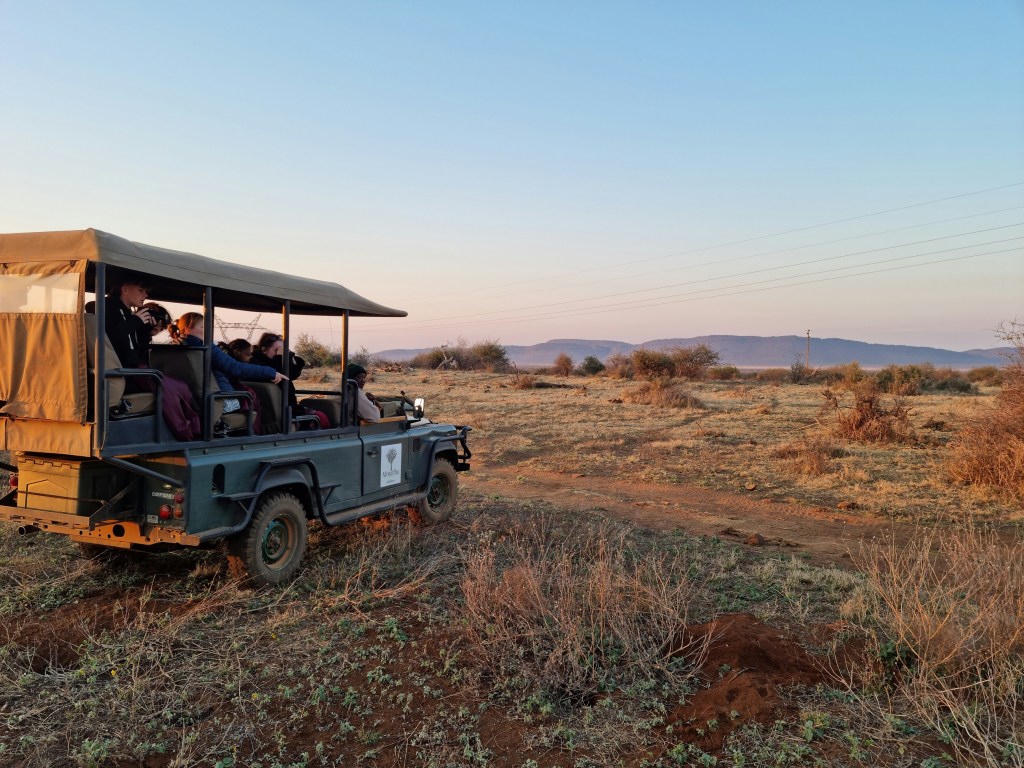 Family-friendly safari adventures you didn't know you needed in South Africa