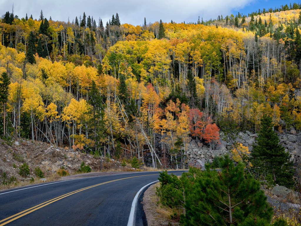 Travelling through music: Iconic albums that turn places into destinations