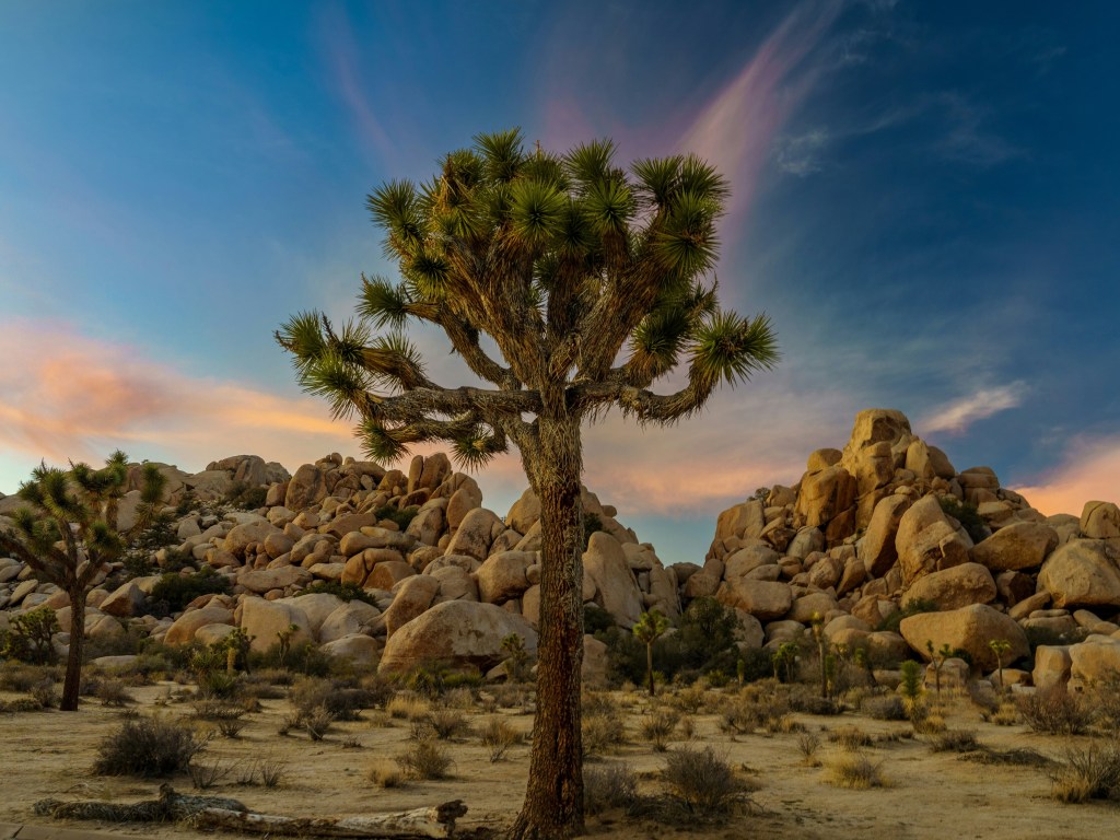 Travelling through music: Iconic albums that turn places into destinations